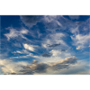 the sky