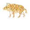 Boar Geometric