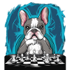 French bulldog playing chess
