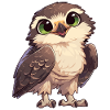 Falcon Falcon