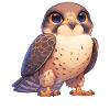 Falcon Falcon