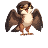 Falcon Falcon