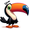 Toucan