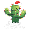 Cactus Christmas Cactus Cacti