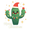 Cactus Christmas Cactus Cacti