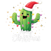 Cactus Christmas Cactus Cacti