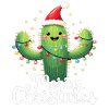 Cactus Christmas Cactus Cacti