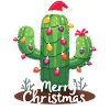 Cactus Christmas Cactus Cacti