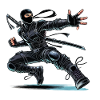 Ninja