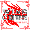 Wing Chun street combat dragon shirt