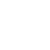 Large Hairy Tarantula Tarantula