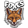 Fox Lover Foxes Are Awesome