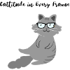 Cattitude in jedem Rahmendesign