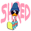 Shred