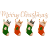Joyeux Noël - Chats pour Noël