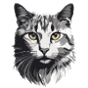 Gatito.