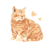 Tabby Cat Arancione Gatto Mamma Arancione Mamma