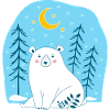 Bär und winter