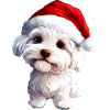 Dog Santa Claus