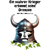 Wikinger Spruchshirt