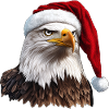 Eagle Christmas / Santa Claus Eagle