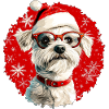 Chiens Noël
