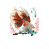 My favorite child is my betta fish