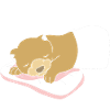 Otter