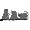 Chats