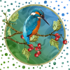 Bunter Vogel