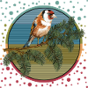 Bunter Vogel
