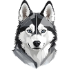 Cute Husky Head