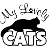 Meine lieben Katzen