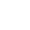 opa 2025