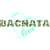 Bachata Love Animal Print
