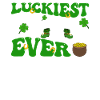Happy St. Patrick's Day Shamrocks