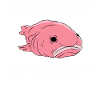 Funny Blobfish Cute Blobfish