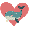 Marine Animals Whale Marine Life