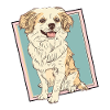 Dog Dogs A