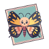 Butterfly Butterflies Butterfly