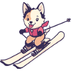 Ski Ski Holiday