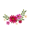 Llama With Flowers
