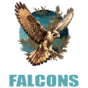 Falcon Falcon