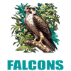 Falcon Falcon
