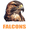 Faucon Faucon