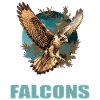Falcon Falcon