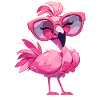 Flamants roses Flamant rose