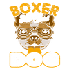 Boxer The Best Dog