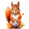 Cute Squirrel