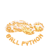 Chillin with my ball python